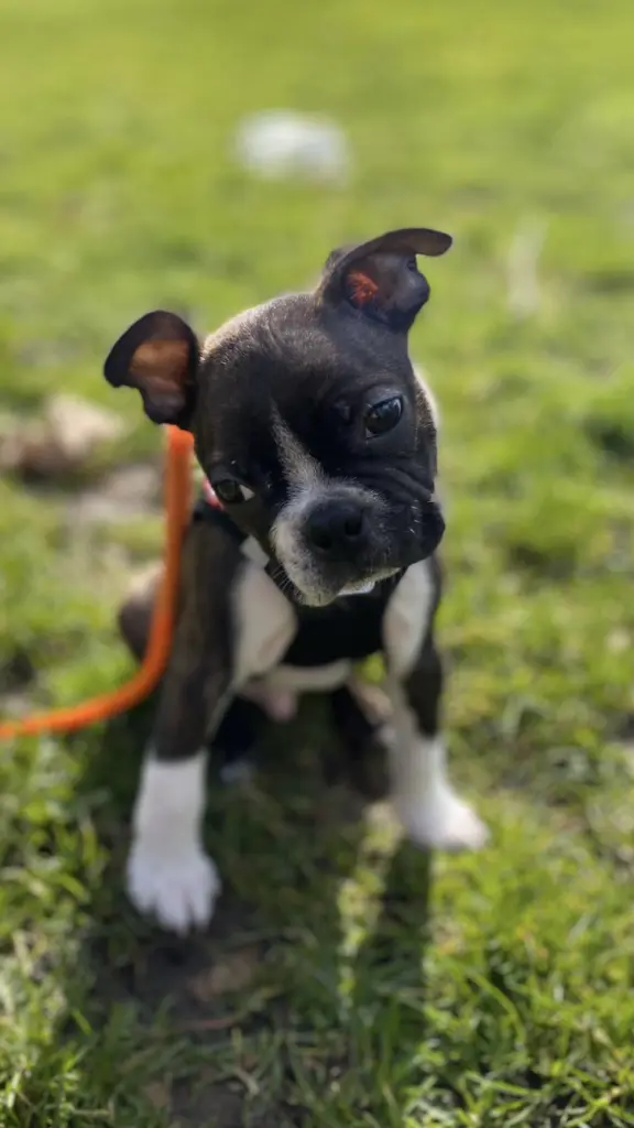 Condolence image of Christine