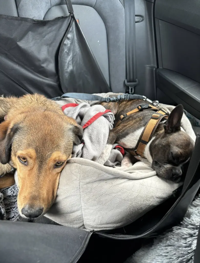 Condolence image of Anastasia und Otto