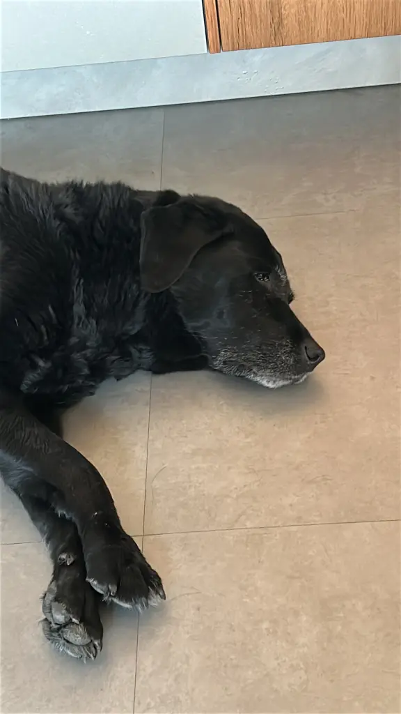 Condolence image of Amelie