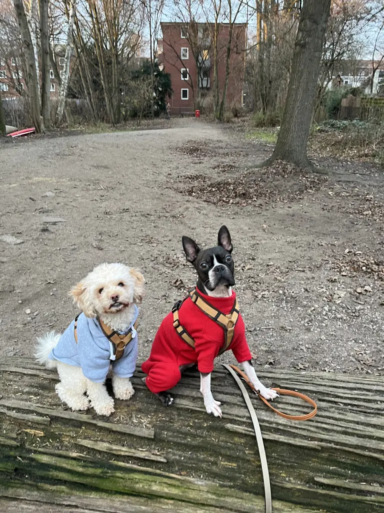 Condolence image of Juju