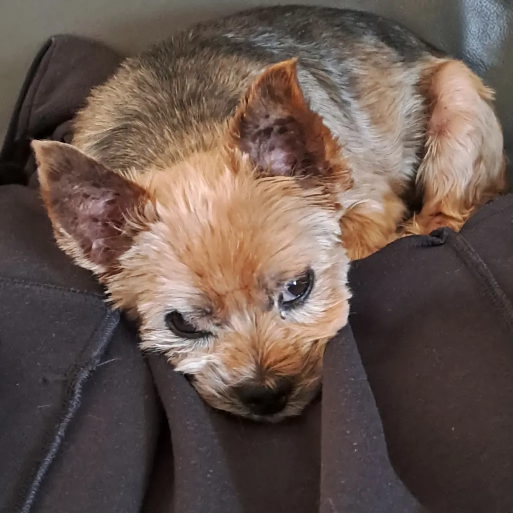 Image from Bootsmann (Bootsi)