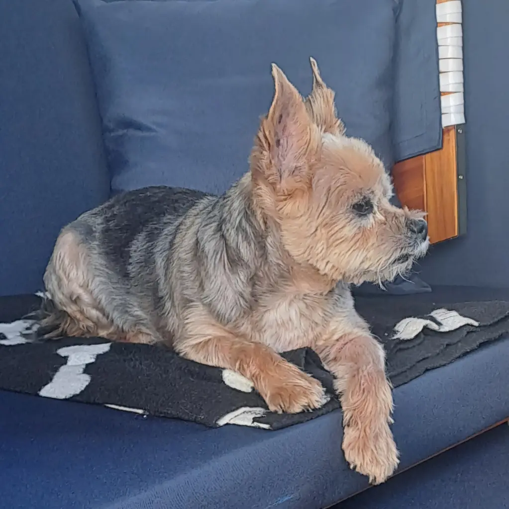 Image from Bootsmann (Bootsi)