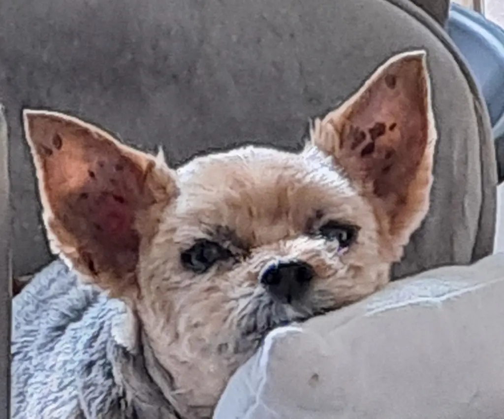 Image from Bootsmann (Bootsi)