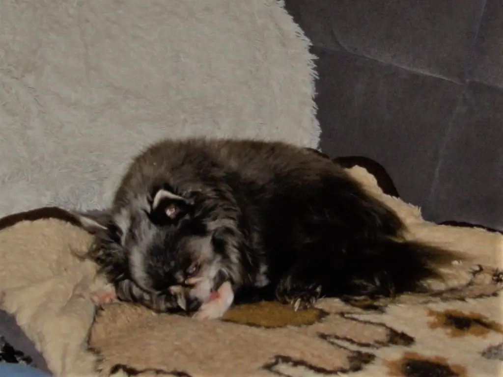 Image from Hera von Rheinblick