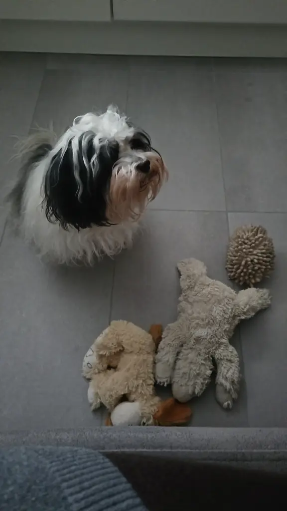 Condolence image of Beate HILLMANN-KILFITT