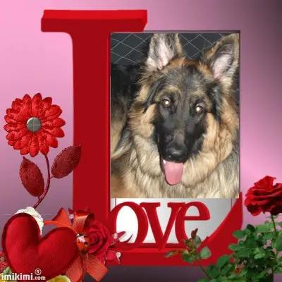 Condolence image of Kocham Cię❤❤❤