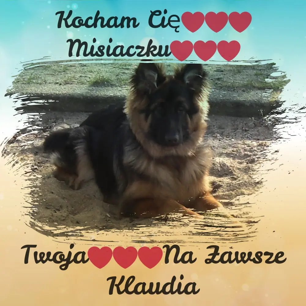 Condolence image of Kocham Cię❤❤❤