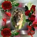 Condolence image of Kocham Cię❤❤❤