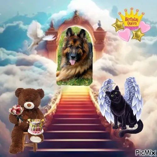 Condolence image of 17.Urodzinki❤️❤️❤️❤️❤️❤️❤️❤️❤️❤️❤️❤️❤️❤️❤️❤️❤️