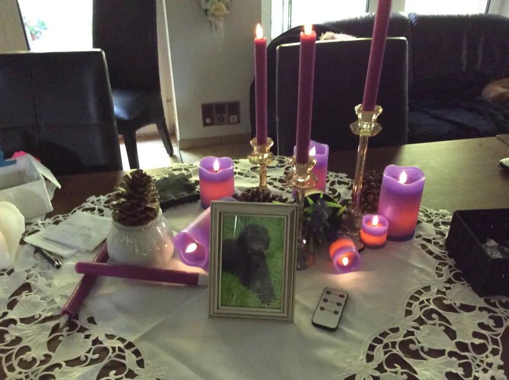 Condolence image of Heidi 