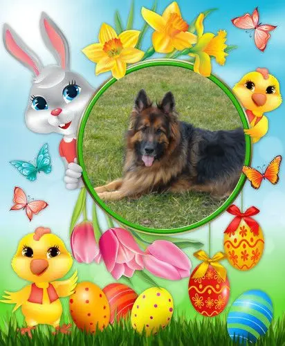 Condolence image of Mój Misiulek❤❤❤