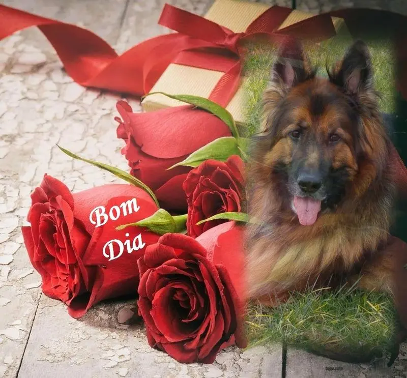 Condolence image of 3.Sternchen❤️❤️❤️Gedenktag❤️