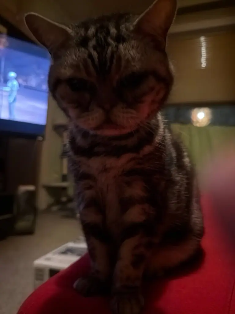 Morgens,noch ganz verschlafen