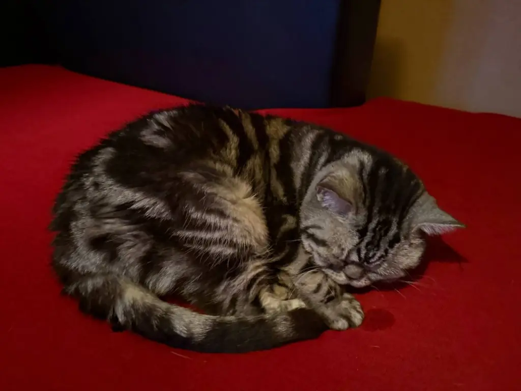 Da hast du mich vermisst...