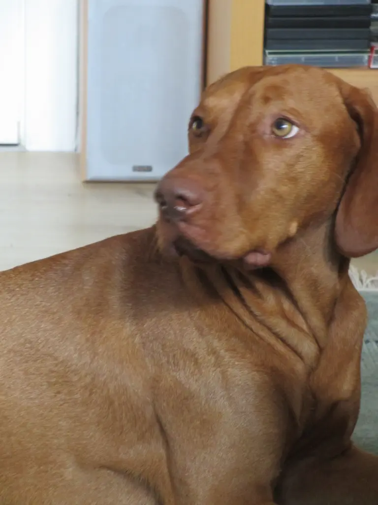 Condolence image of Ed Mack