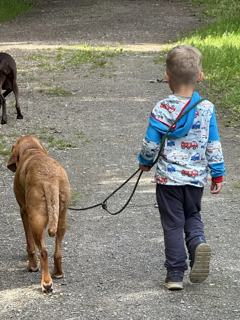 Condolence image of Julchen