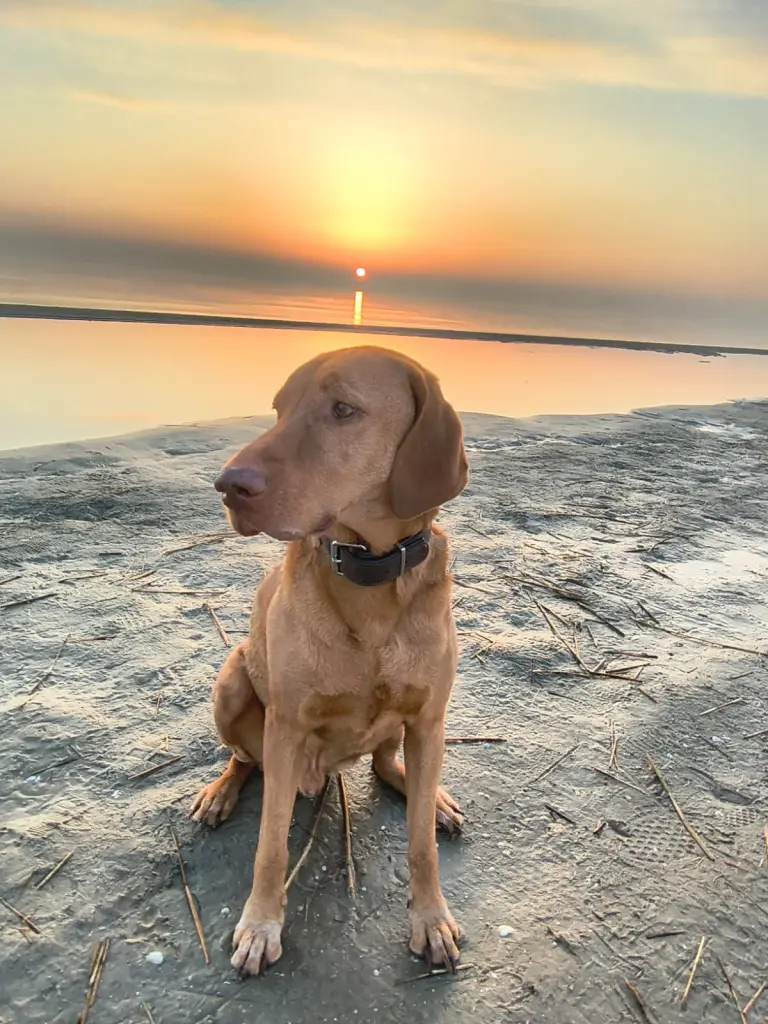 Condolence image of Joerdis