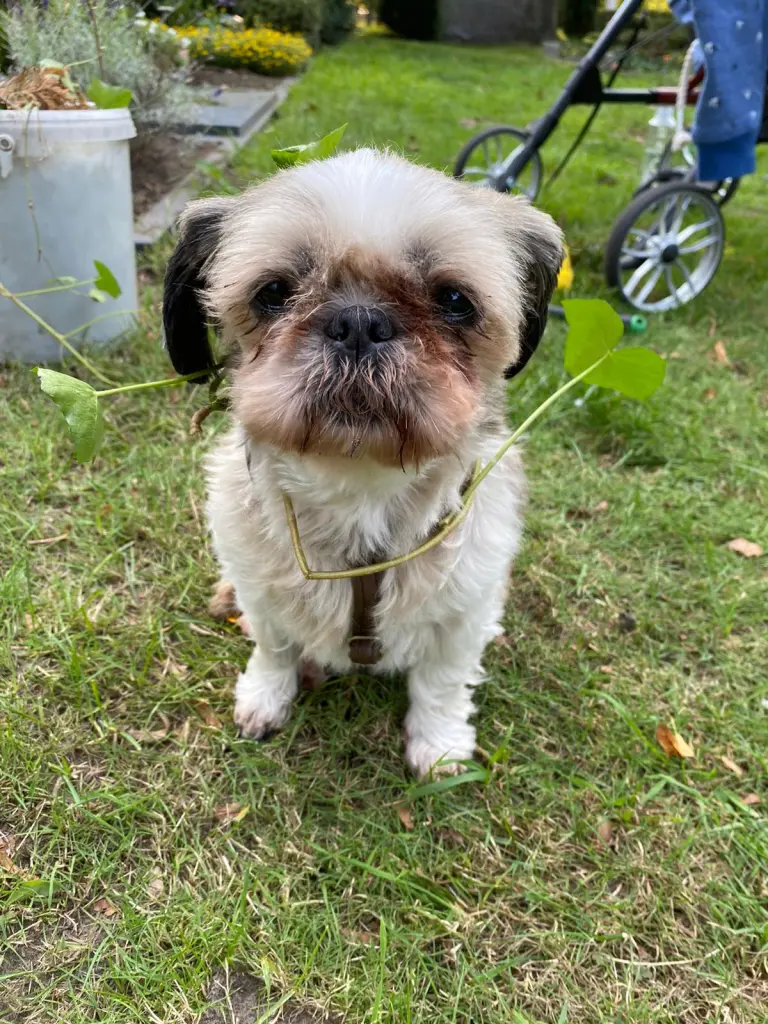 Image from Emma