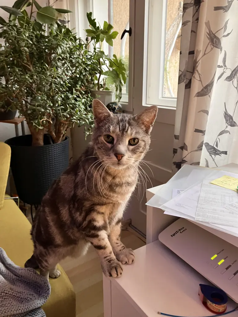 Image from Motzki