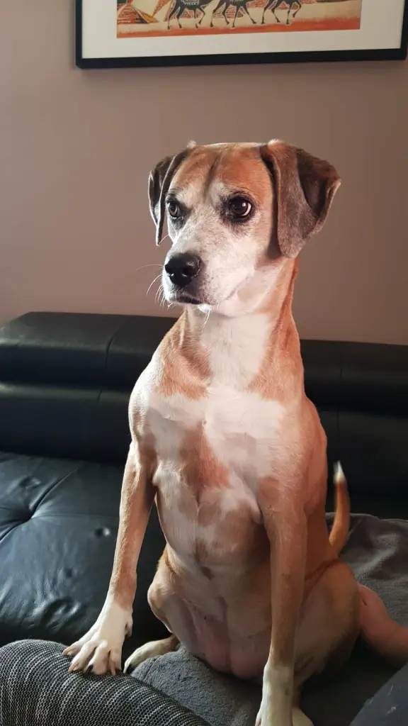 Image from Frau Funny