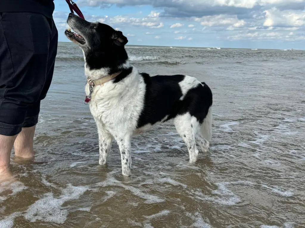Noch ein Urlaubsfoto, Den Haag war ein Traum mit dir <3