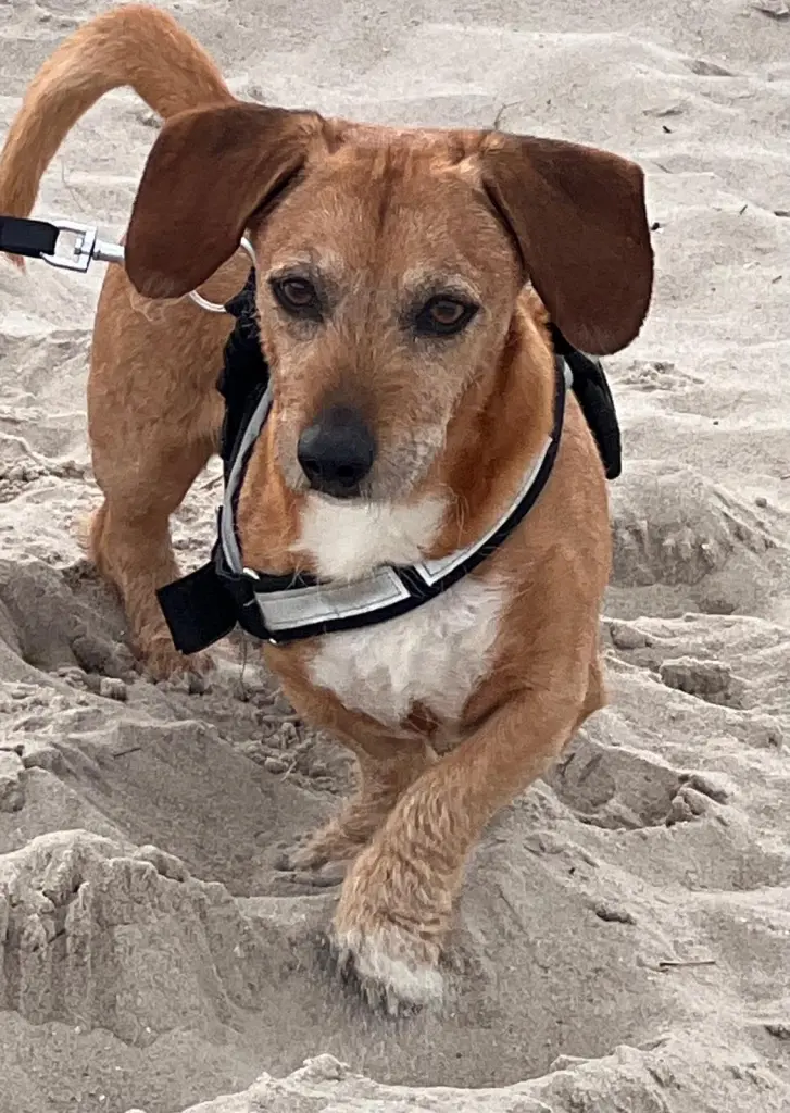 Condolence image of Uwe Lemanczyk