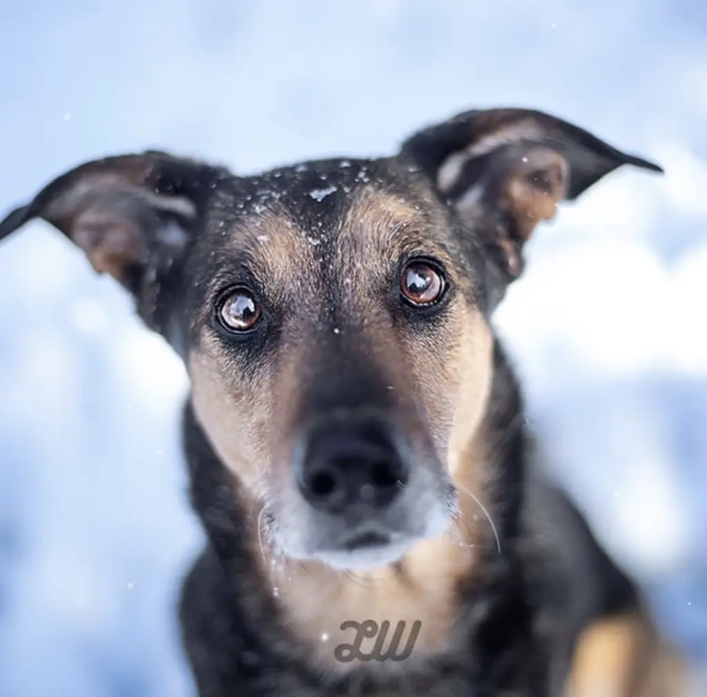 Condolence image of Victoria & Familie