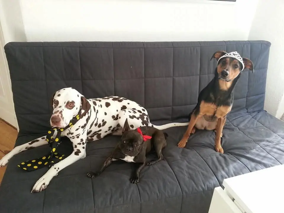 Geburtstage wurden gefeiert.