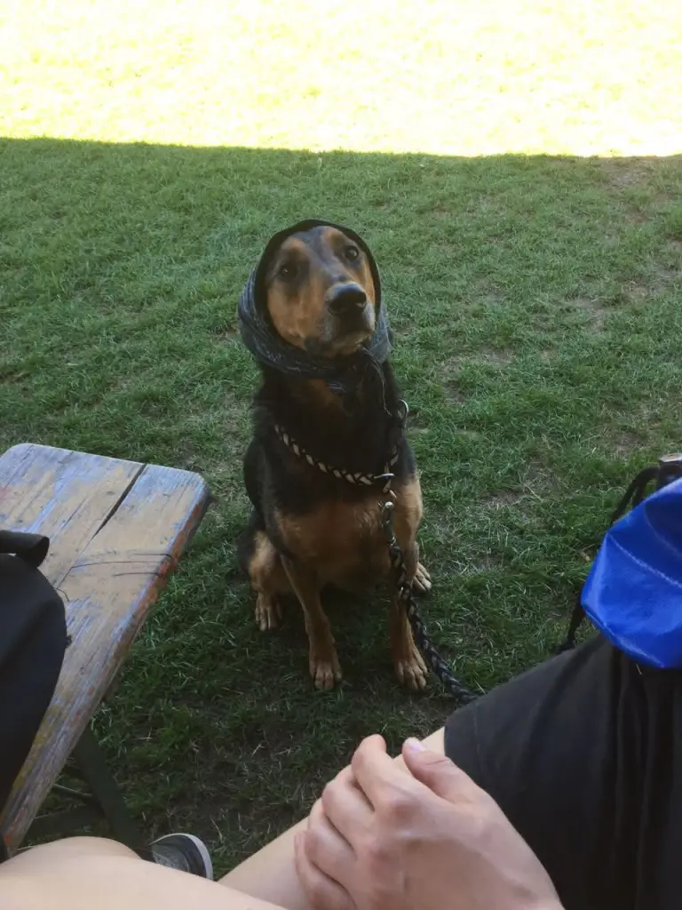 Ausflüge mit Charakter.