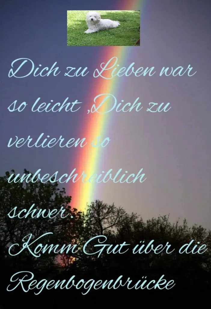 Andachtsbild von Elke Meyer