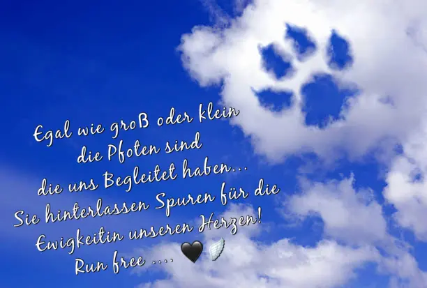 Condolence image of Claudia von Balou
