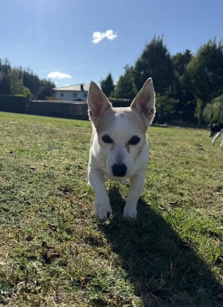 Andachtsbild von Alina Petersen-Scheper