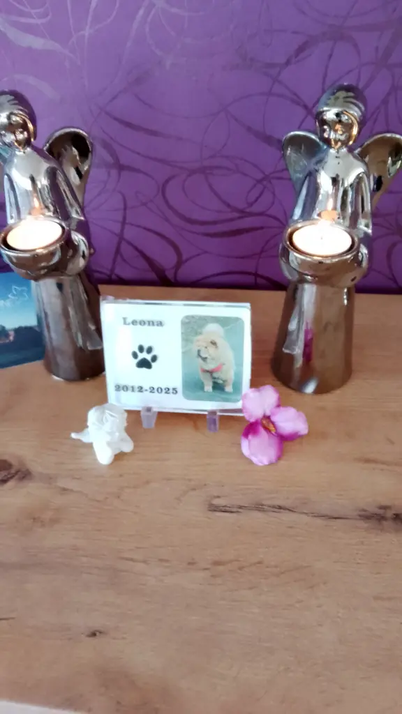 Condolence image of Margitta