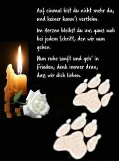 Condolence image of Run free.