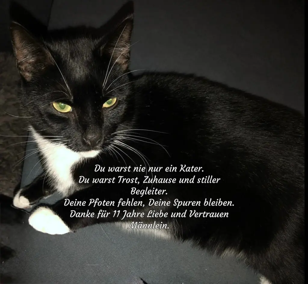 Andachtsbild von Heike