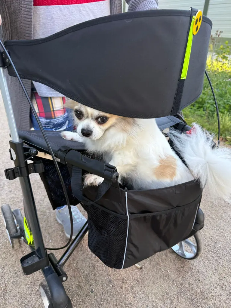 Condolence image of Stefanie Stoltenberg