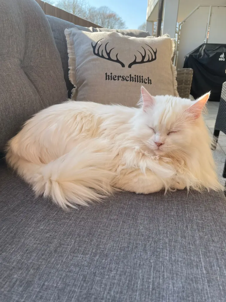 Condolence image of Steve