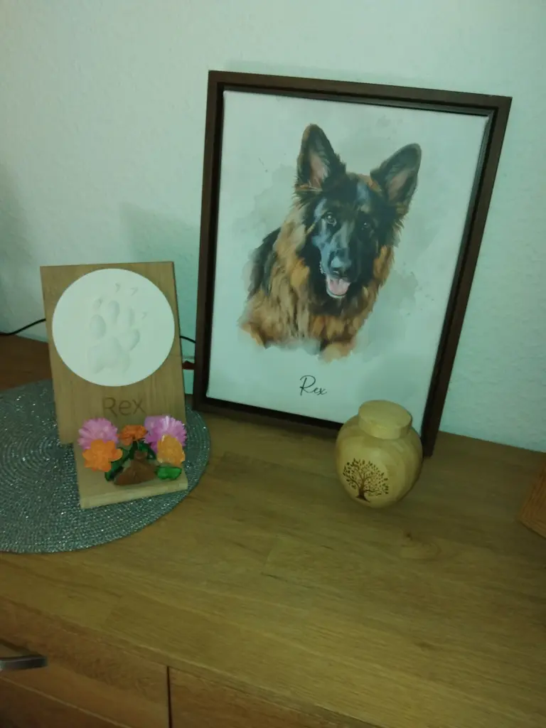 Bild von Rex