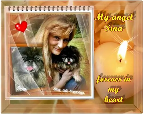 Image from meine Herzenshündin Sina