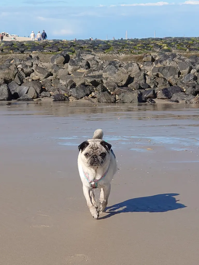 Du warst so gerne am Strand.