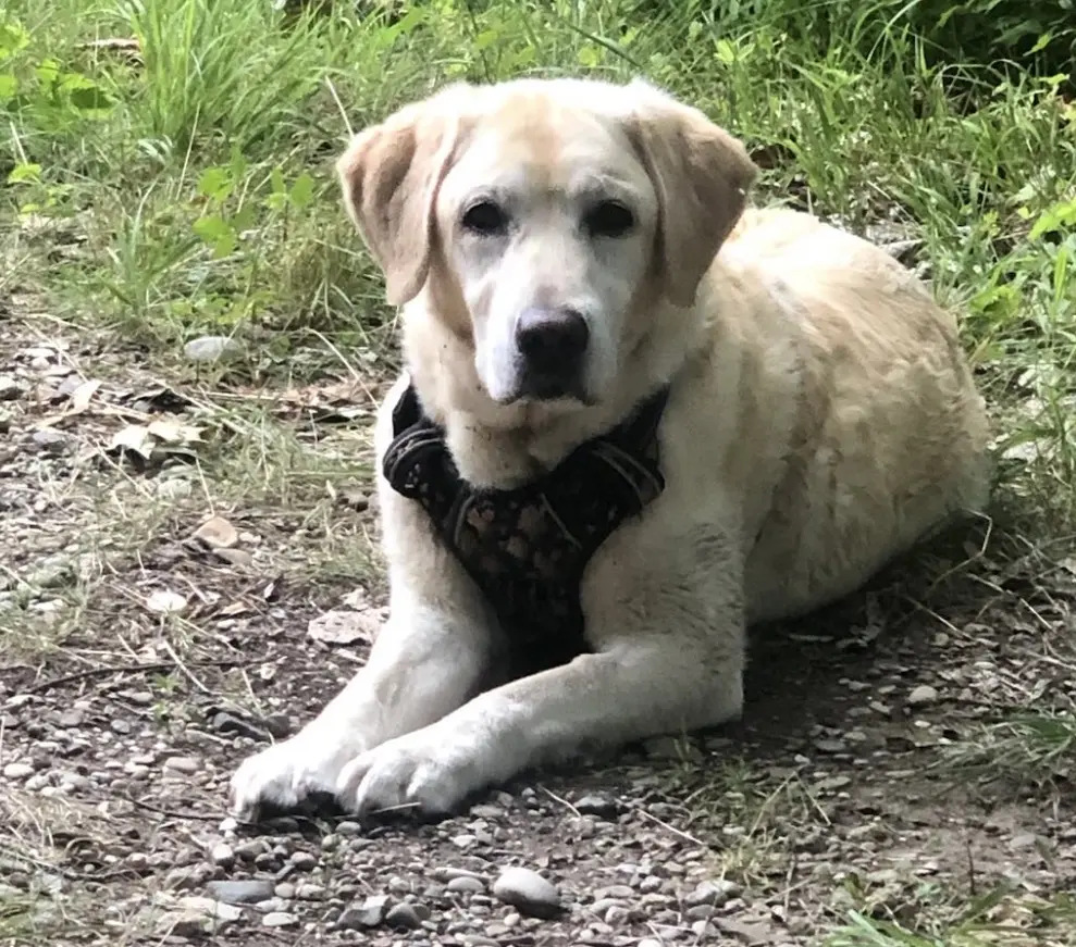 Bild von Maya