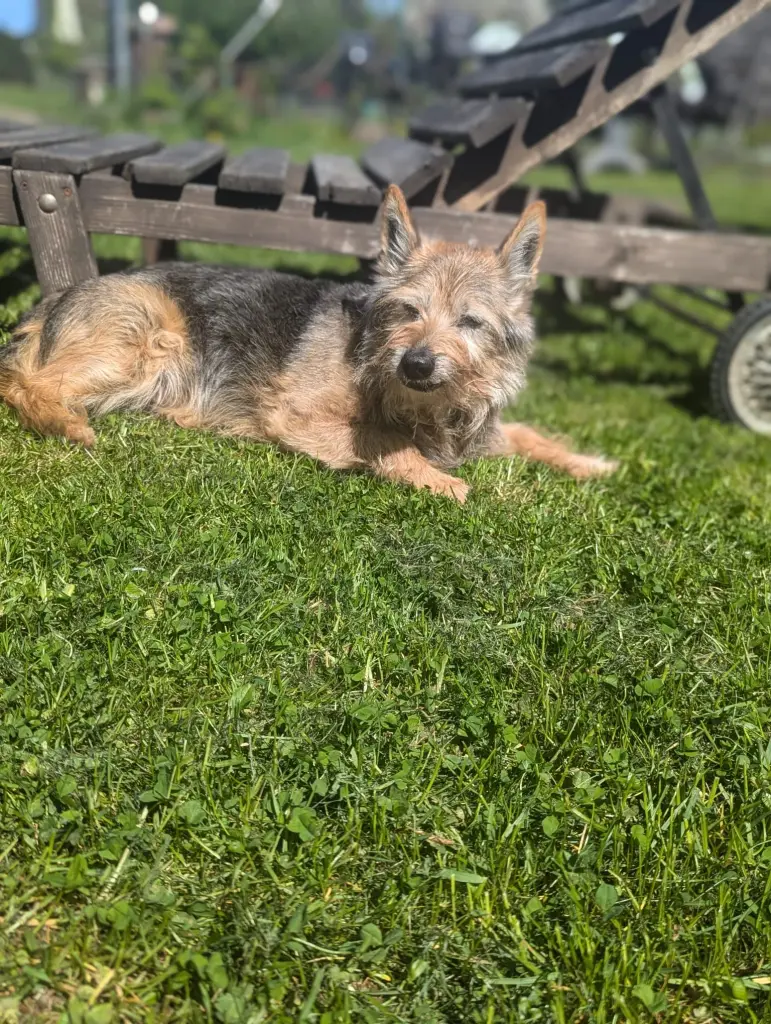 Condolence image of Christian H