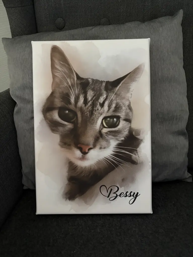 Bild von Bessy