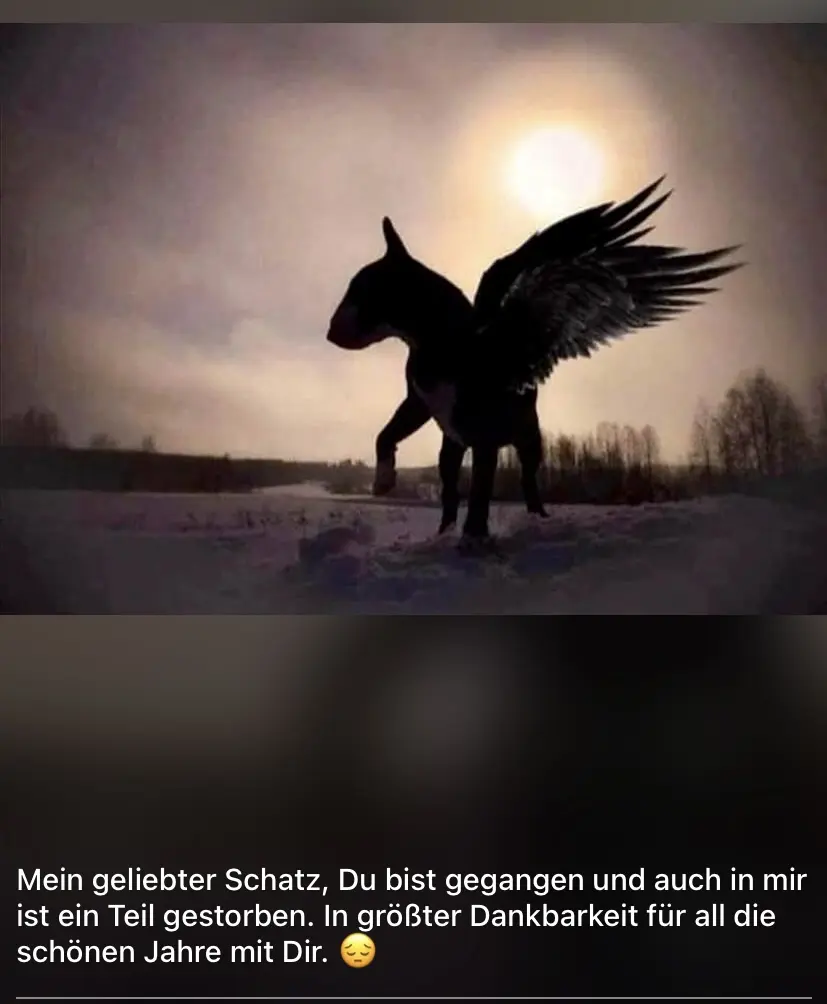 Condolence image of Andreas Verlei