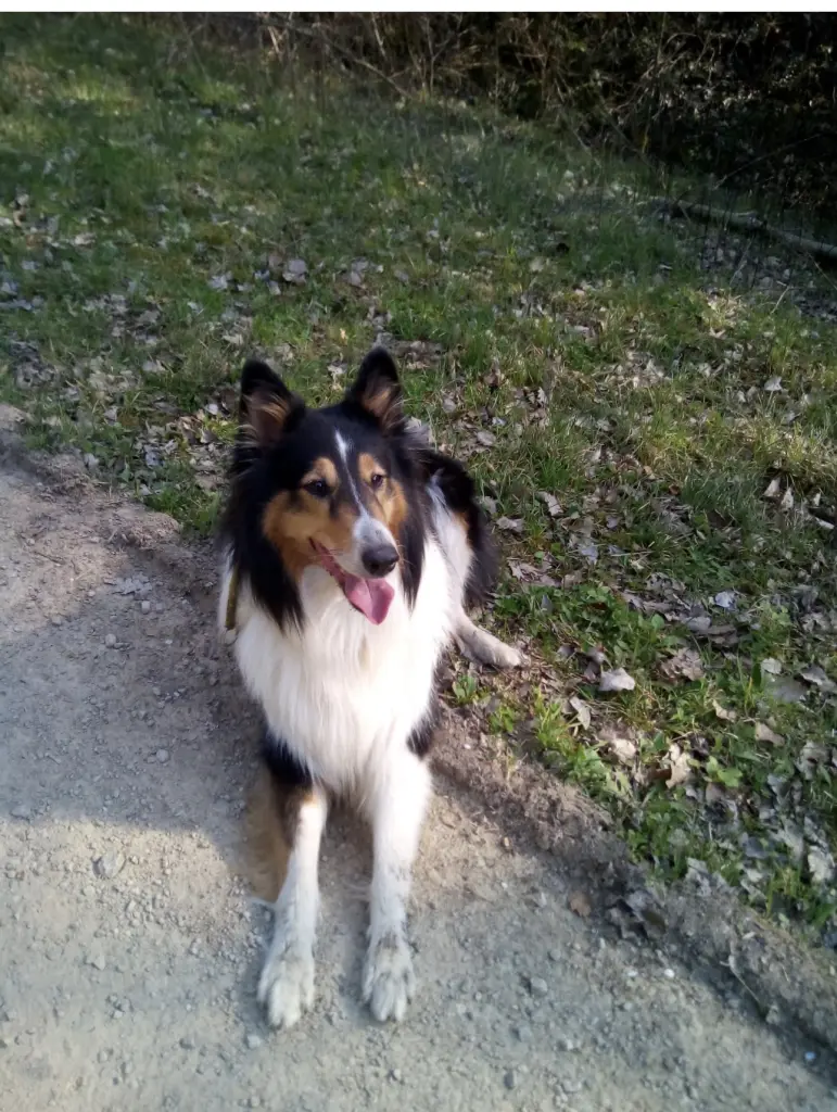 Andachtsbild von Melanie Stadler