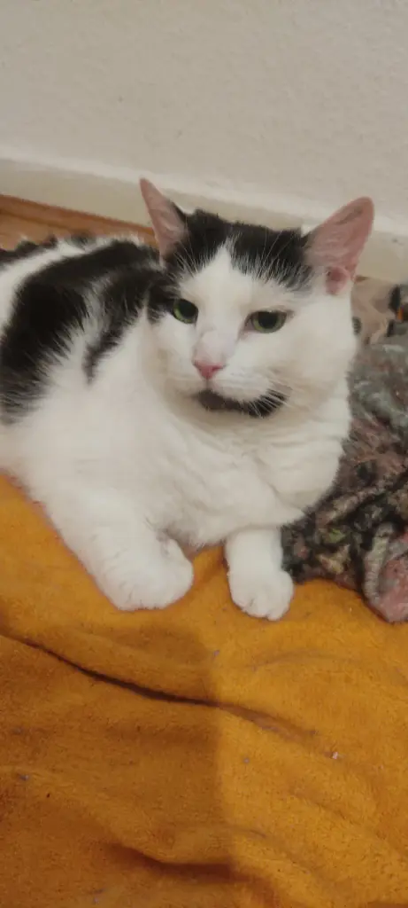 Condolence image of Lucie