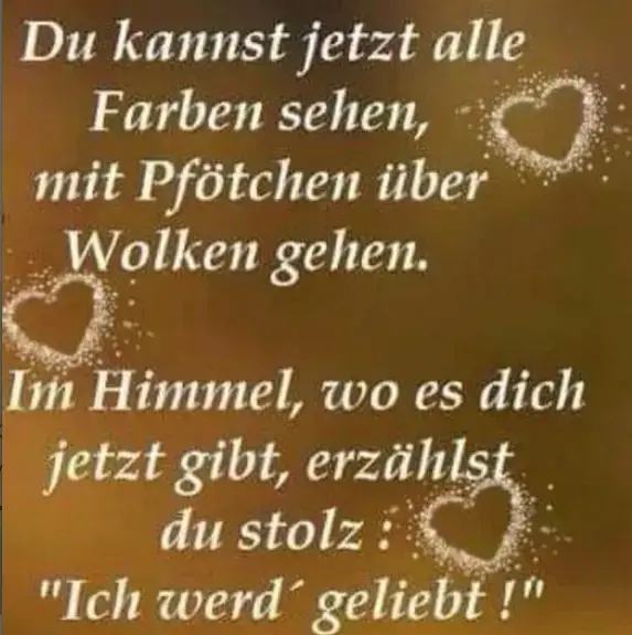 Condolence image of Konny mit Piccolino-Fly tief im ❤️