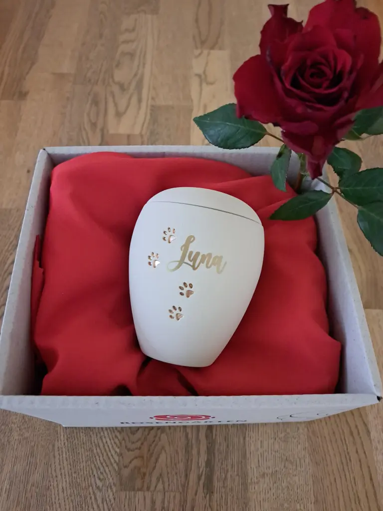 Luna du bist immer bei mir .❤️