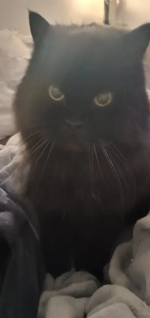 Condolence image of Christiane