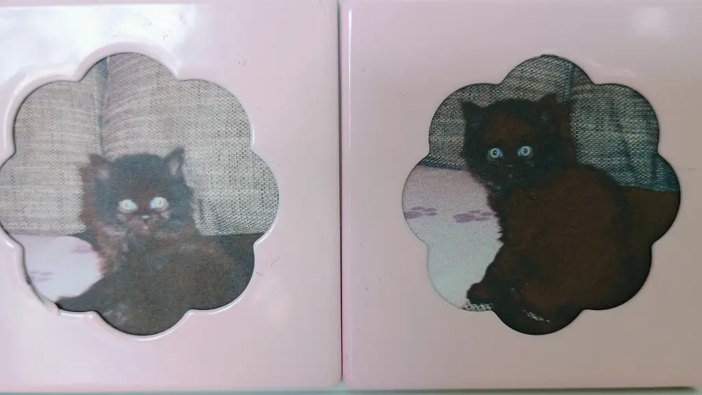 Wie winzig du gewesen bist, als Du zu mir gekommen bist 🐾